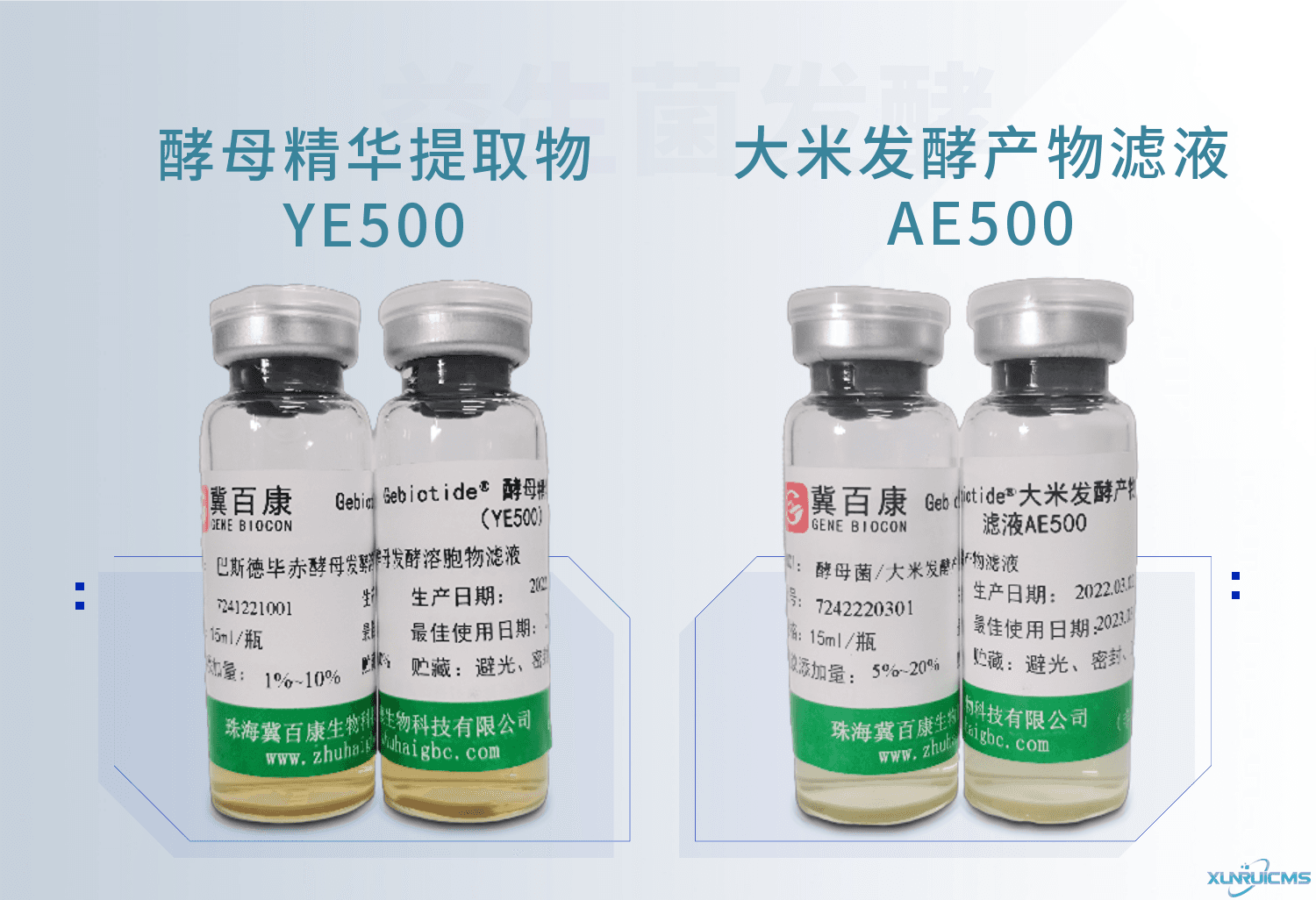 微信圖片_20241022155034