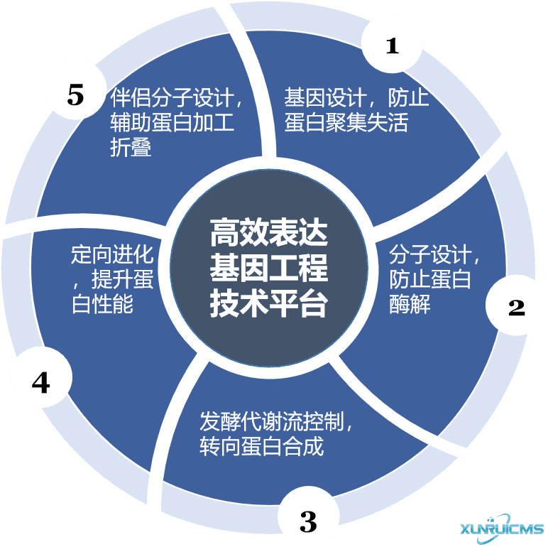 微信圖片_20241030101252 微信圖片_20241030101252