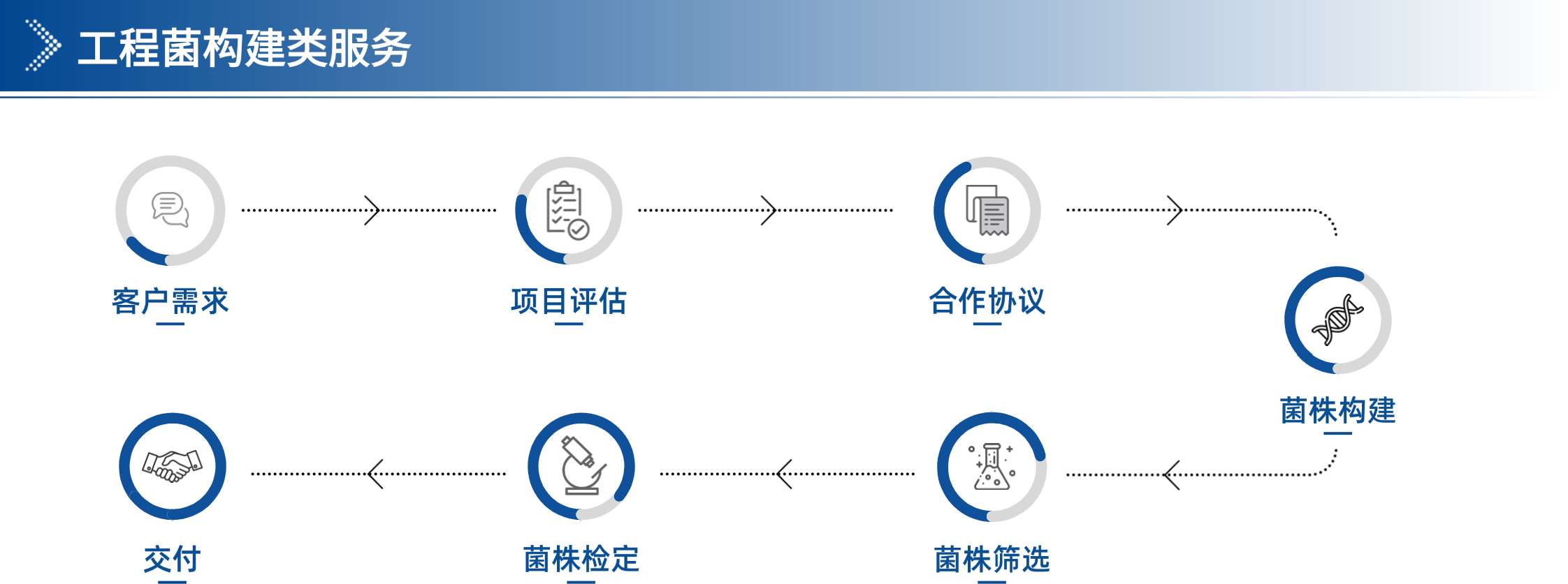 2025版-企業(yè)宣傳手冊最終版